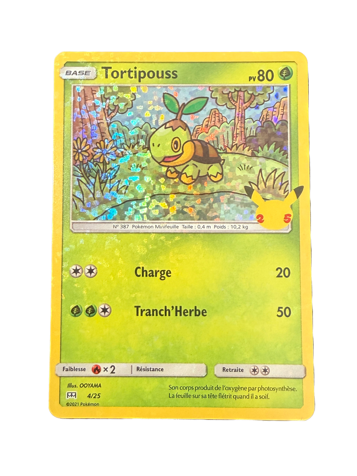 Carte Pokémon Holographique Tortipouss 4/25 - Promo McDonald's 2021
