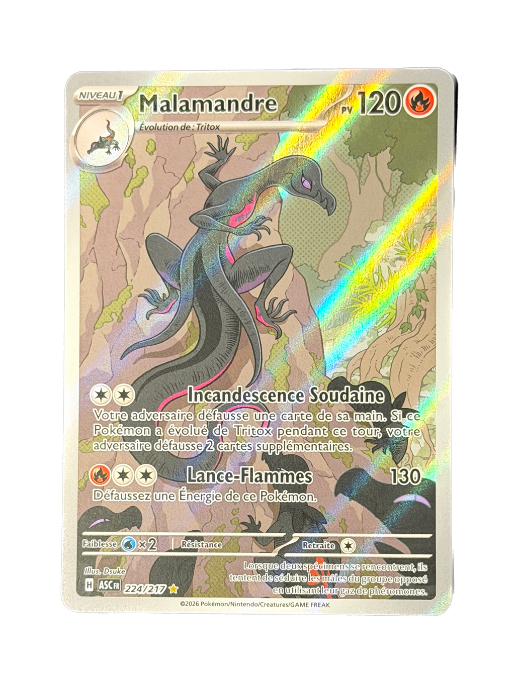 Carte Pokémon Malamandre 224/217 - Héros Transcendants - Méga Evolution ME2.5